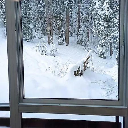 Elizi Winter House елизи зимна къща Aparthotel *