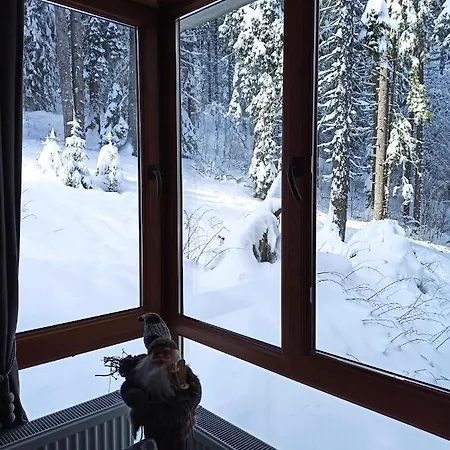 Aparthotel Elizi Winter House елизи зимна къща Pamporovo