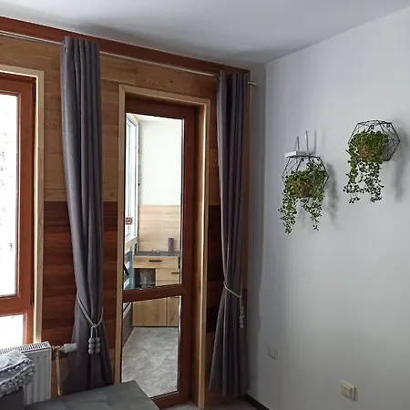 Elizi Winter House елизи зимна къща * Pamporovo