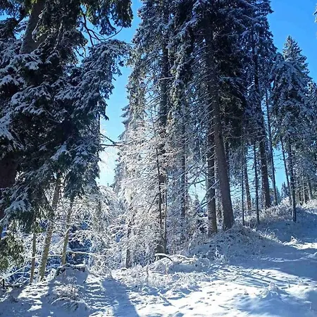 Elizi Winter House елизи зимна къща Pamporovo