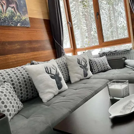 Elizi Winter House елизи зимна къща Aparthotel *