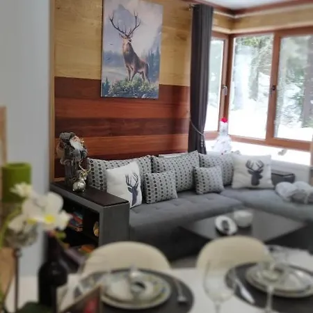 Aparthotel Elizi Winter House елизи зимна къща Pamporovo
