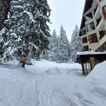 Elizi Winter House елизи зимна къща Pamporovo